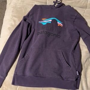 Patagonia hoodie